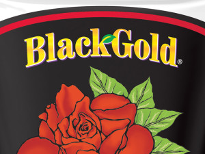 Black Gold All Purpose Potting Soil package