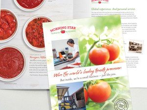 Morning Star Tomato Kitchens