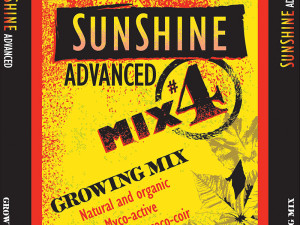 Sunshine mix #4